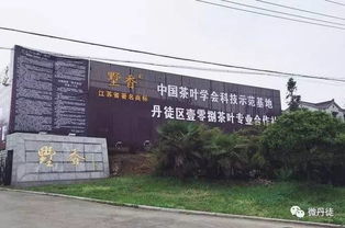 丹徒找準(zhǔn) 發(fā)力點 做強茶產(chǎn)業(yè)