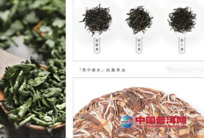 朝仙茶業精選普洱茶葉原料供應商聯系方式