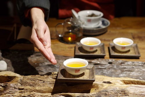 智匯芽協(xié)助福元昌普洱茶運營抖音賬號,確定合作關(guān)系