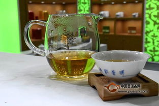 第十五屆中國普洱茶節(jié)開幕,各茶企齊聚普洱
