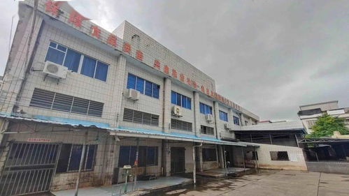 我為群眾辦實(shí)事 恩平昌聯(lián)茶葉助力群眾幸福感持續(xù)提升